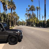 Отзыв от Расул - виза ДТВ